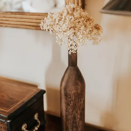 Le Bois De Selves - Maison Authentique Avec Vue Exceptionnelle Semesterbostad *