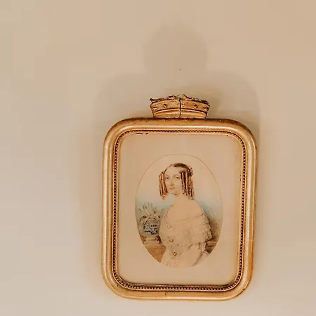 Semesterbostad Le Bois De Selves - Maison Authentique Avec Vue Exceptionnelle Vézac