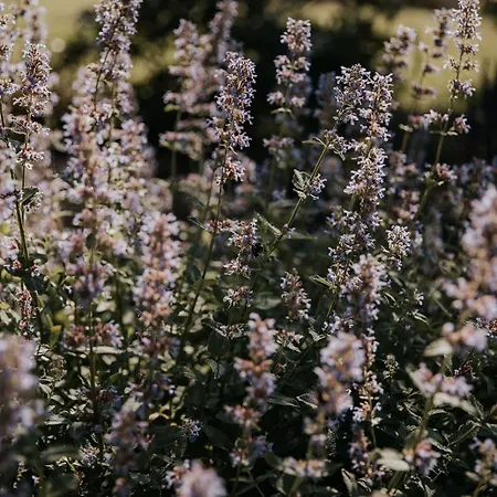 Le Bois De Selves - Maison Authentique Avec Vue Exceptionnelle