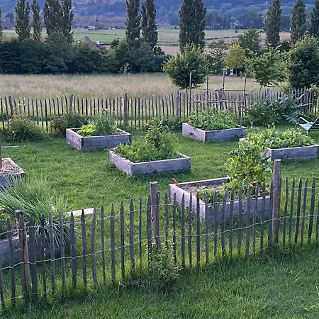 Domaine 6ha - Vue Beynac, Castelnaud & Marqueyssac - Piscine Olympique Vézac