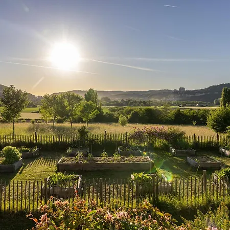 Domaine 6ha - Vue Beynac, Castelnaud & Marqueyssac - Piscine Olympique Vézac