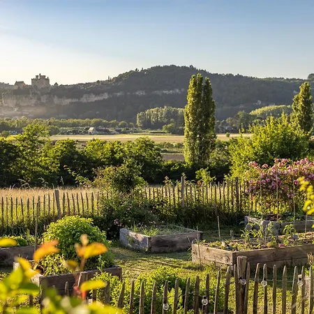 Domaine 6ha - Vue Beynac, Castelnaud & Marqueyssac - Piscine Olympique