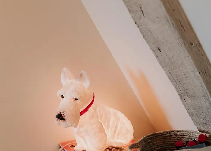 Tatil Evi Le Bois De Selves - Maison Authentique Avec Vue Exceptionnelle