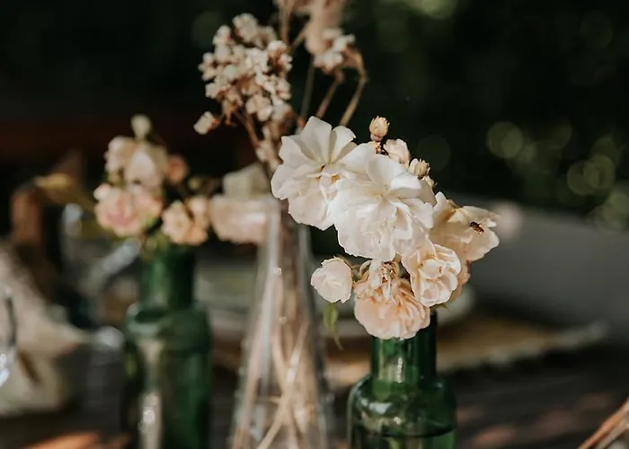 Le Bois De Selves - Maison Authentique Avec Vue Exceptionnelle Vézac