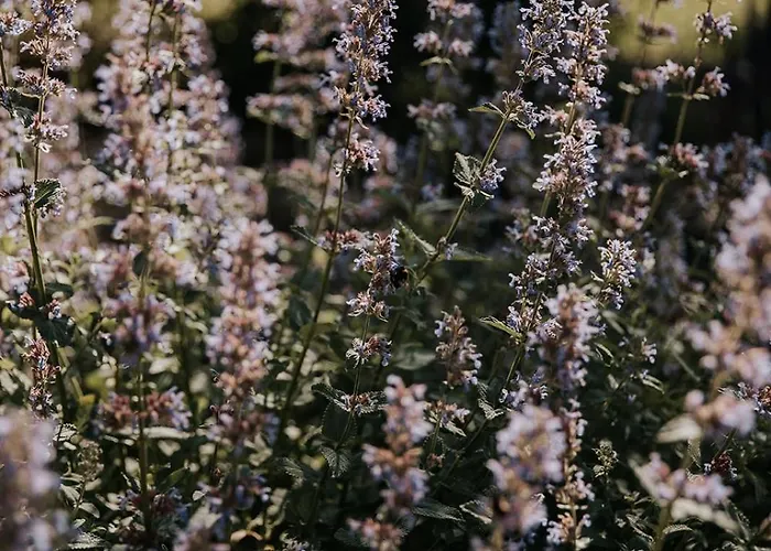 Le Bois De Selves - Maison Authentique Avec Vue Exceptionnelle